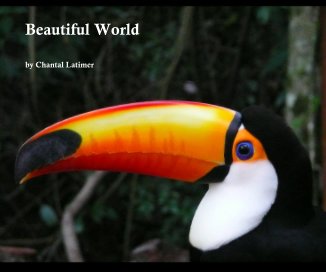 Beautiful World book cover