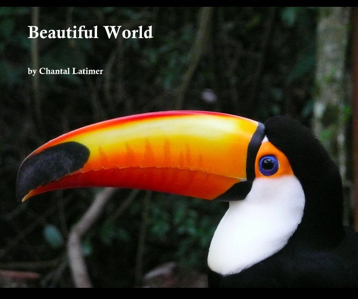 Bekijk Beautiful World op Chantal Latimer