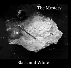 The Mystery In Black and White book cover