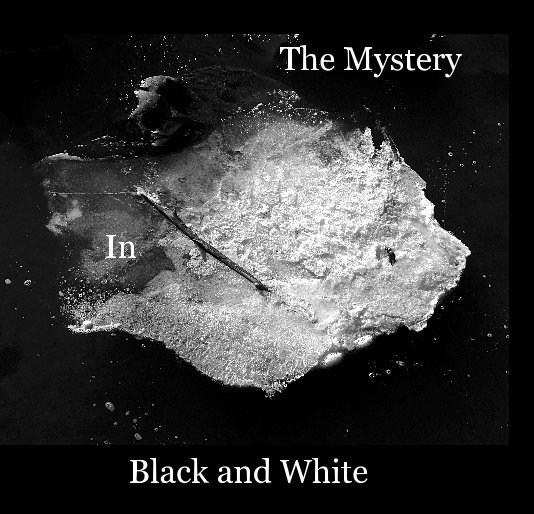 Visualizza The Mystery In Black and White di Sonnie B. Mason