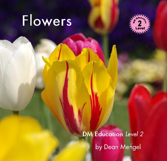 View Flowers by Dean Mengel