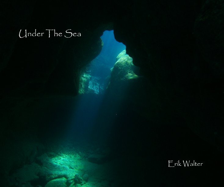 View Under The Sea by Erik Walter