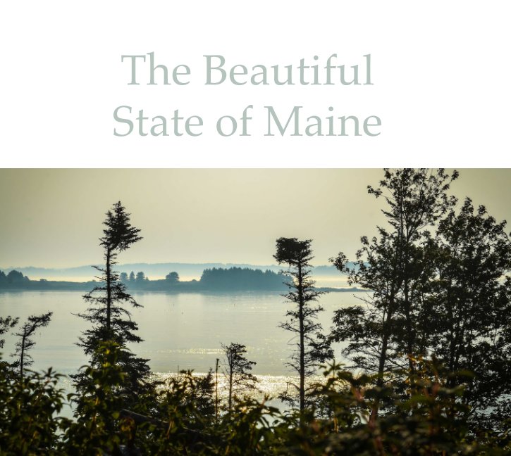 View The Beautiful State of Maine by Donna Brok