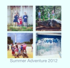 Summer Adventure 2012 book cover