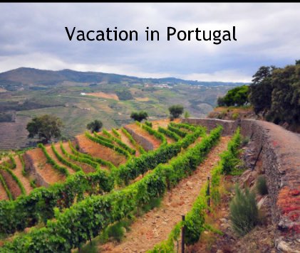 Vacation in Portugal book cover