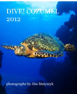 DIVE! COZUMEL 2012 book cover
