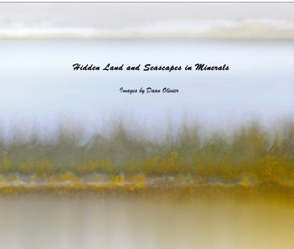 Hidden Land and Seascapes in Minerals book cover