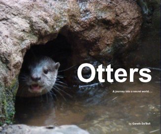 Otters book cover