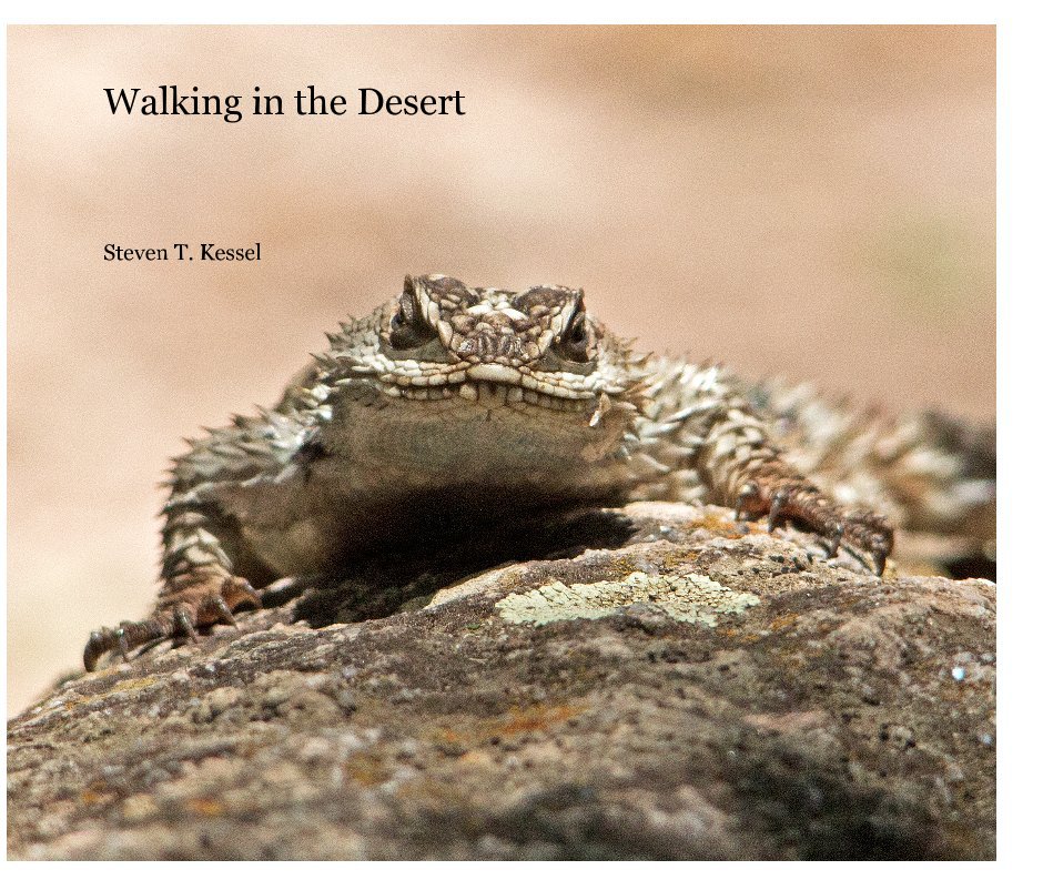 View Walking in the Desert by Steven T. Kessel