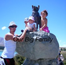 Our Big Family book cover
