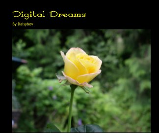 Digital Dreams book cover