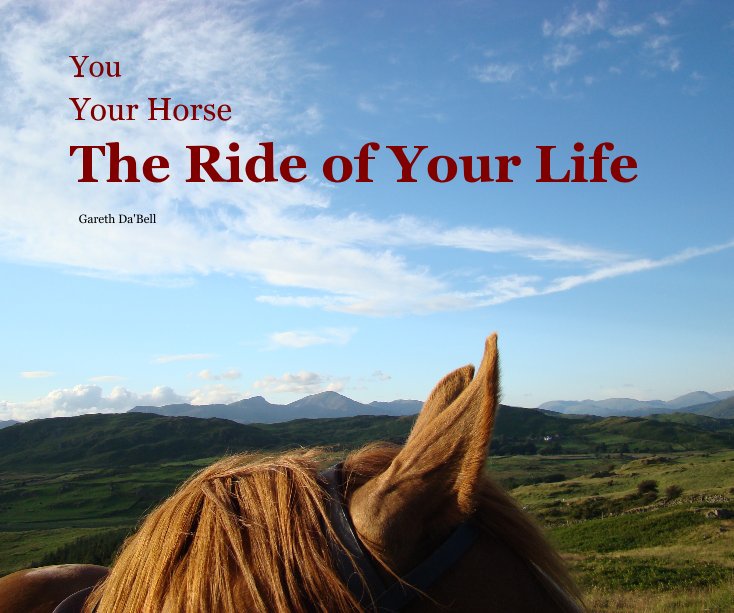 Bekijk The Ride of Your Life op Gareth Da'Bell