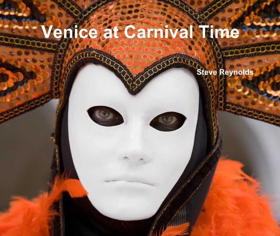 View Venice at Carnival Time by Steve Reynolds ARPS