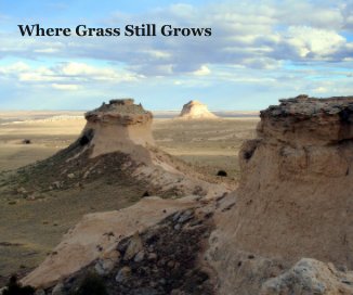 Where Grass Still Grows book cover