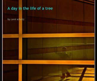 A day in the life of a tree book cover
