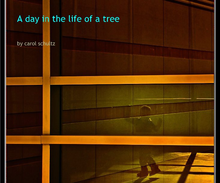 View A day in the life of a tree by carol schultz