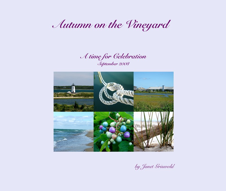 View Autumn on the Vineyard by Janet Griswold