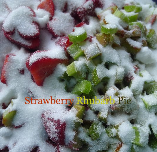 View Strawberry Rhubarb Pie by Sara Kirschenbaum