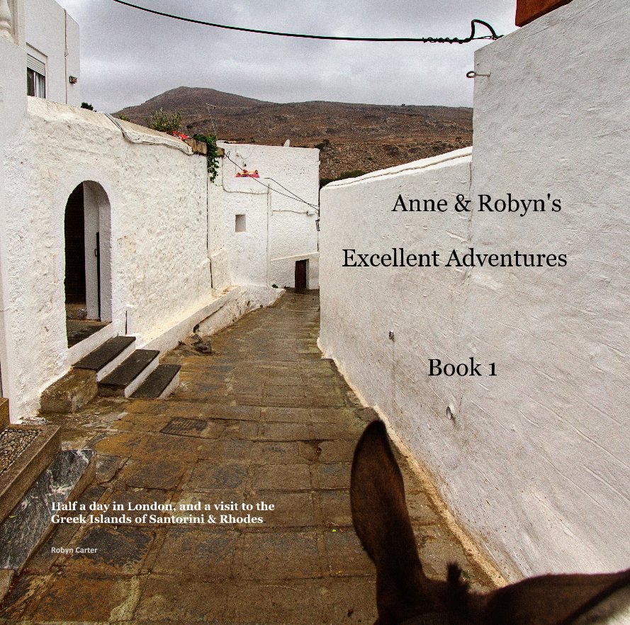 Visualizza Anne & Robyn's Excellent Adventures Book 1 di Robyn Carter