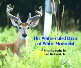 The White-tailed Deer of White Memorial book cover