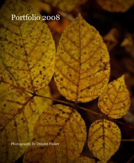 Portfolio 2008 book cover