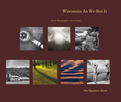 wisconsin as we see it... book cover