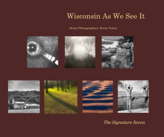 Wisconsin As We See It book cover