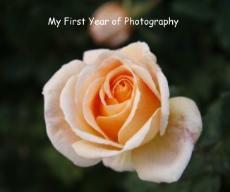 My First Year of Photography book cover
