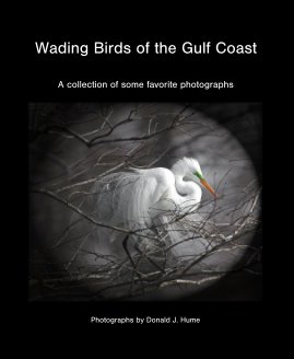 Wading Birds of the Gulf Coast book cover