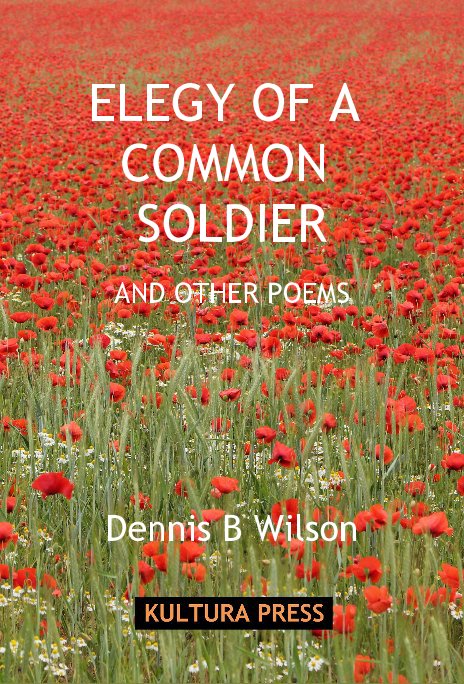 View ELEGY OF A COMMON SOLDIER AND OTHER POEMS by Dennis B Wilson