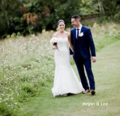 Megan and Lee book cover