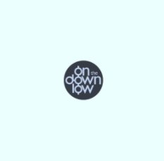 On The Down Low book cover