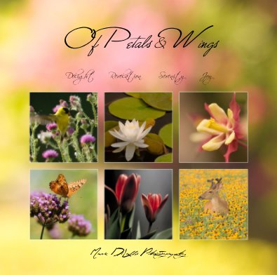 Of Petals & Wings book cover