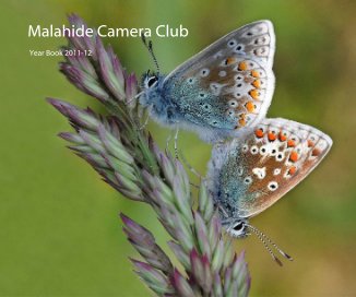 Malahide Camera Club book cover