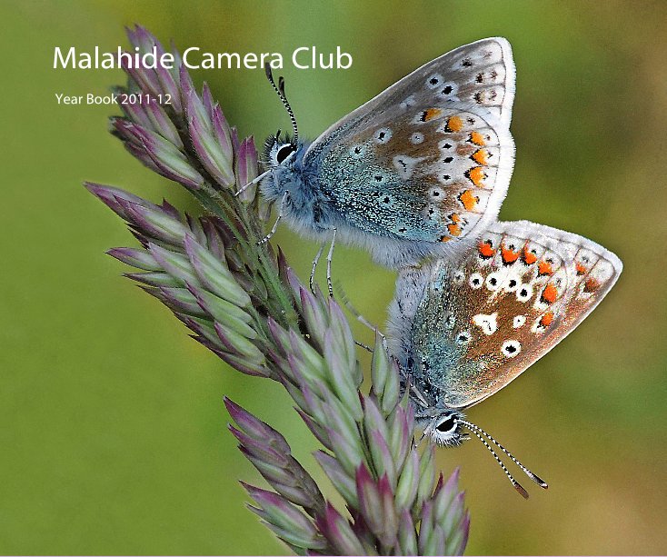 View Malahide Camera Club by MalahideCC