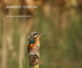 MOMENTS TO RELISH book cover