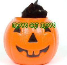 MOVE CAT MOVE book cover