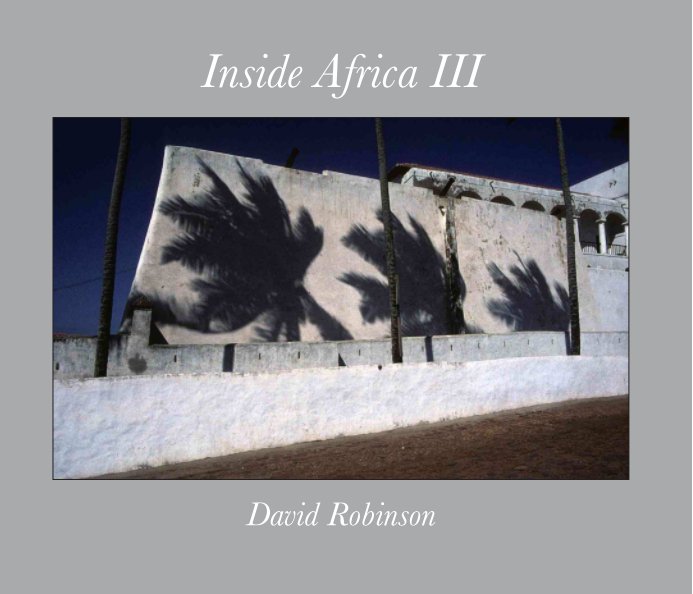 View Inside Africa III (9-6-12) by David Robinson