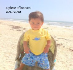 a piece of heaven 2011-2012 book cover