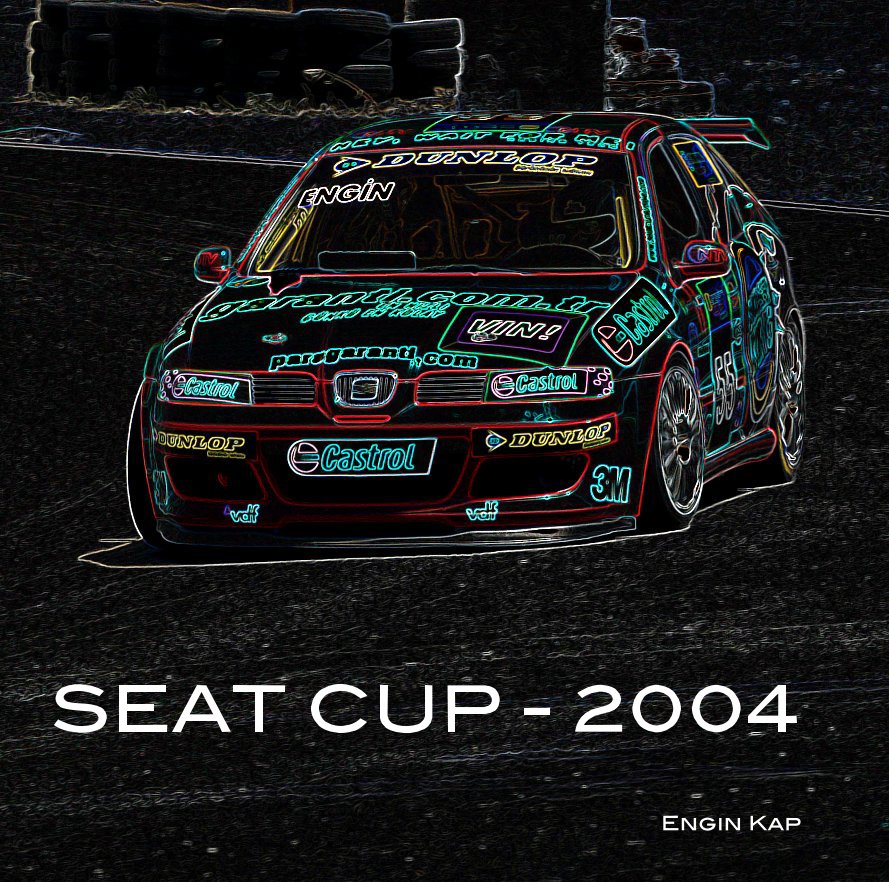 View SEAT CUP - 2004 by Engin Kap