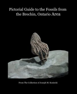 Pictorial Guide to the Fossils from the Brechin, Ontario Area book cover