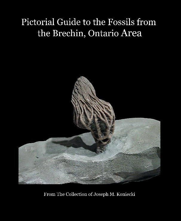 Ver Pictorial Guide to the Fossils from the Brechin, Ontario Area por From The Collection of Joseph M. Koniecki