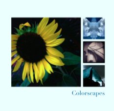 Colorscapes book cover