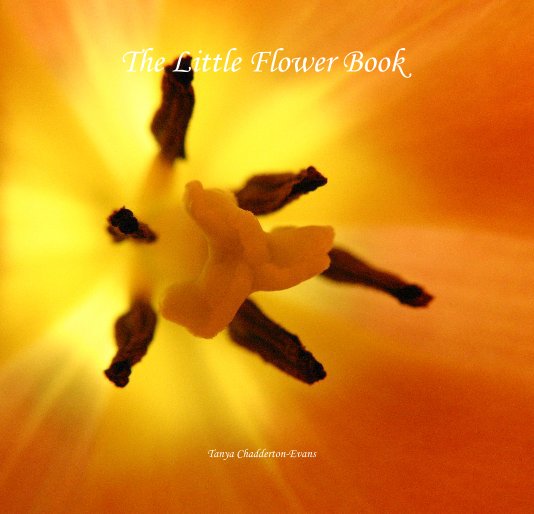 View The Little Flower Book by Tanya Chadderton-Evans