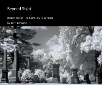 Beyond Sight book cover