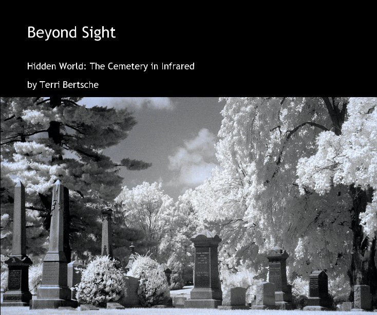 View Beyond Sight by Terri Bertsche