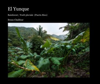 El Yunque book cover