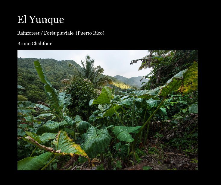 Ver El Yunque por Bruno Chalifour