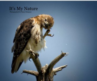 it's my nature 2 Landscape book cover