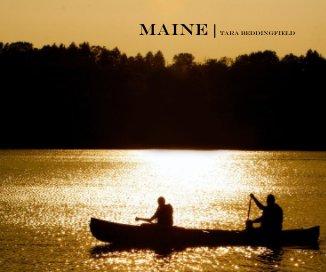 Maine book cover